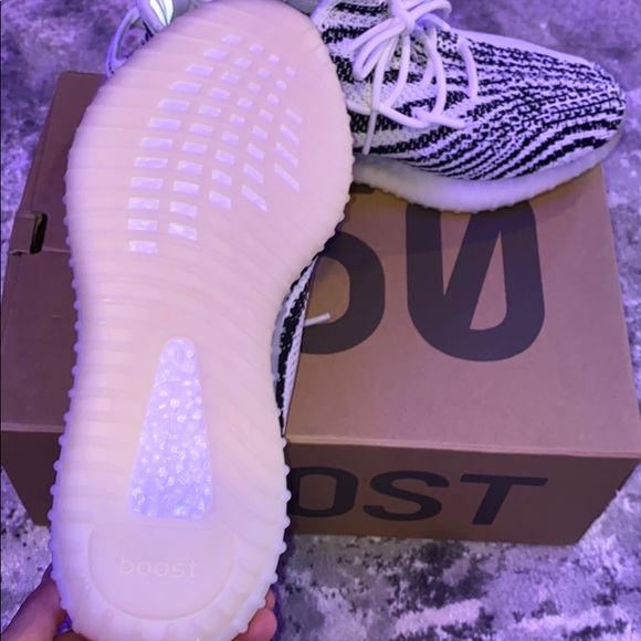Yeezy zebra sz (11) - Picture 2 of 6